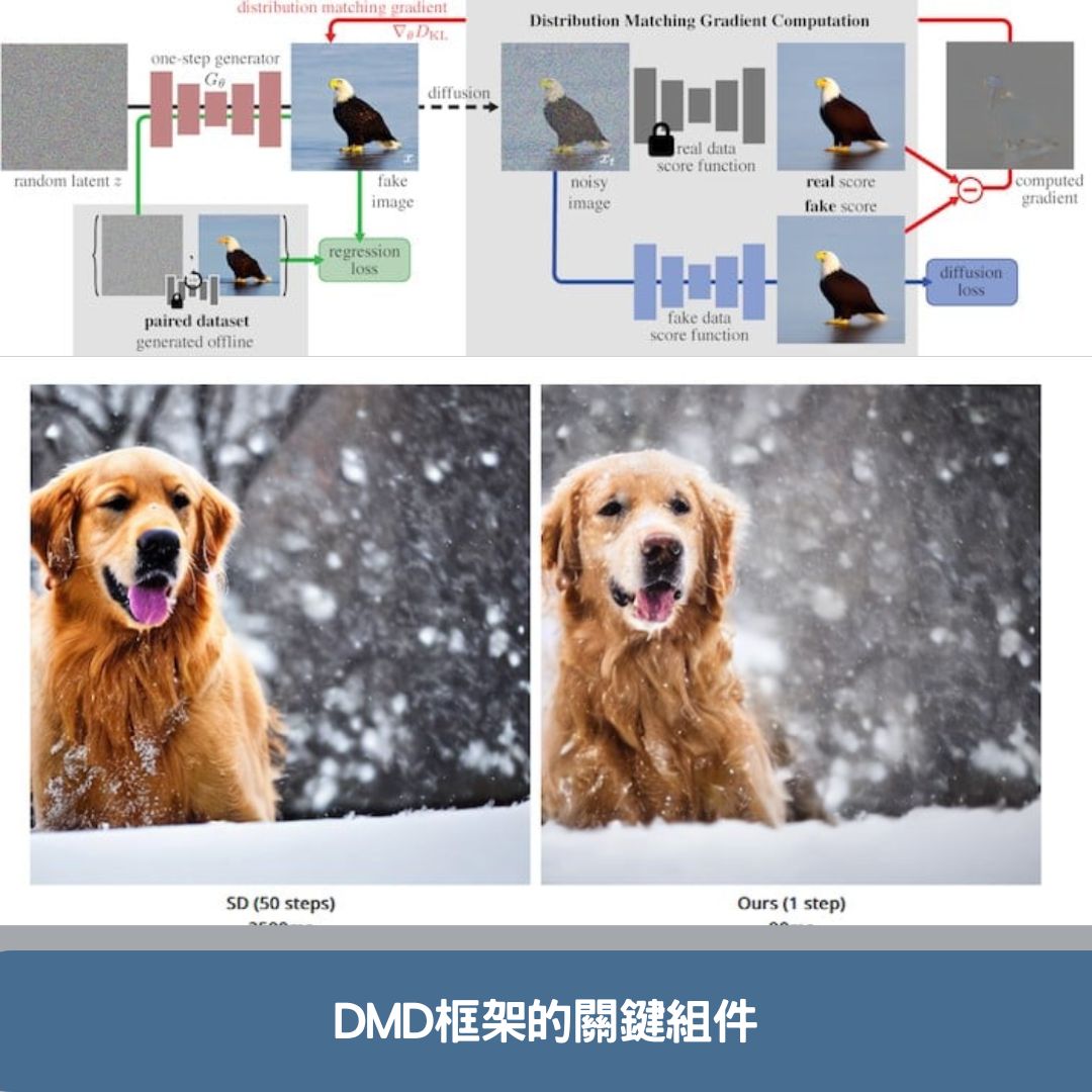 DMD框架的關鍵組件