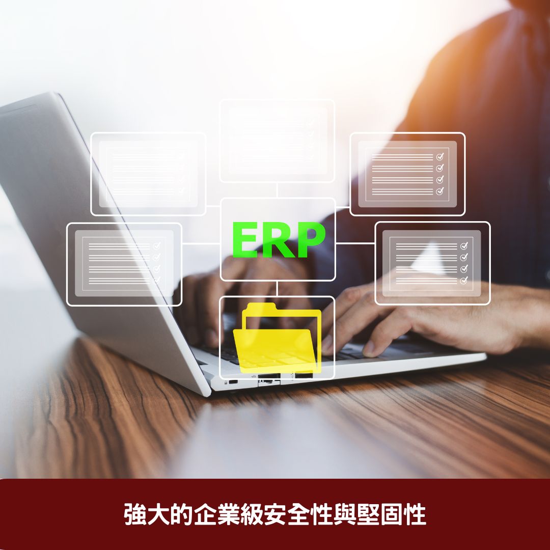 強大的企業級安全性與堅固性